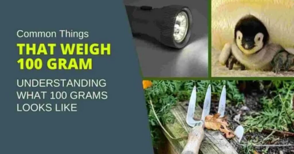 What Weighs 300 Grams 6 Surprising Everyday Items 2 6 Everyday Things That Weigh 300 Grams
