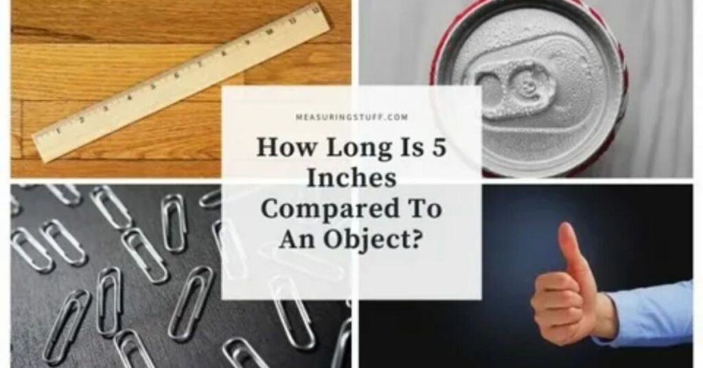 How Big Is 3 Inches? Everyday Things That Match It