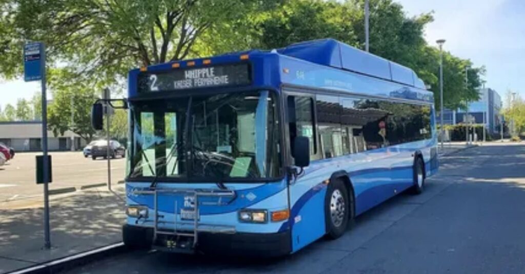 The City Transit Bus