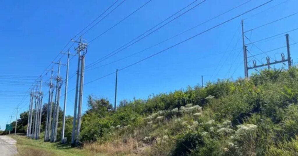 The Utility Pole