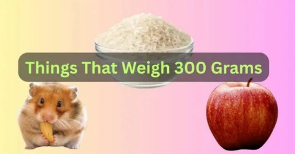 What Weighs 300 Grams 6 Surprising Everyday Items 6 Where Does 300 Grams Appear in Daily Life?
