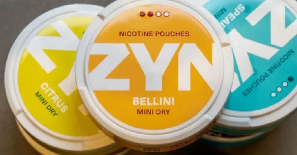 Where Does ZYN Can Size Appear in Daily Life?