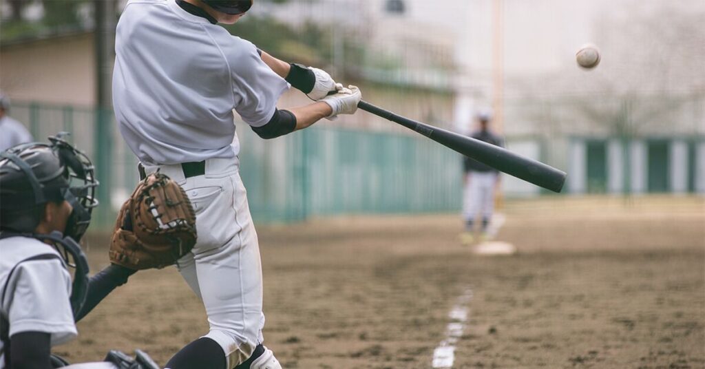 An Adult Baseball Bat