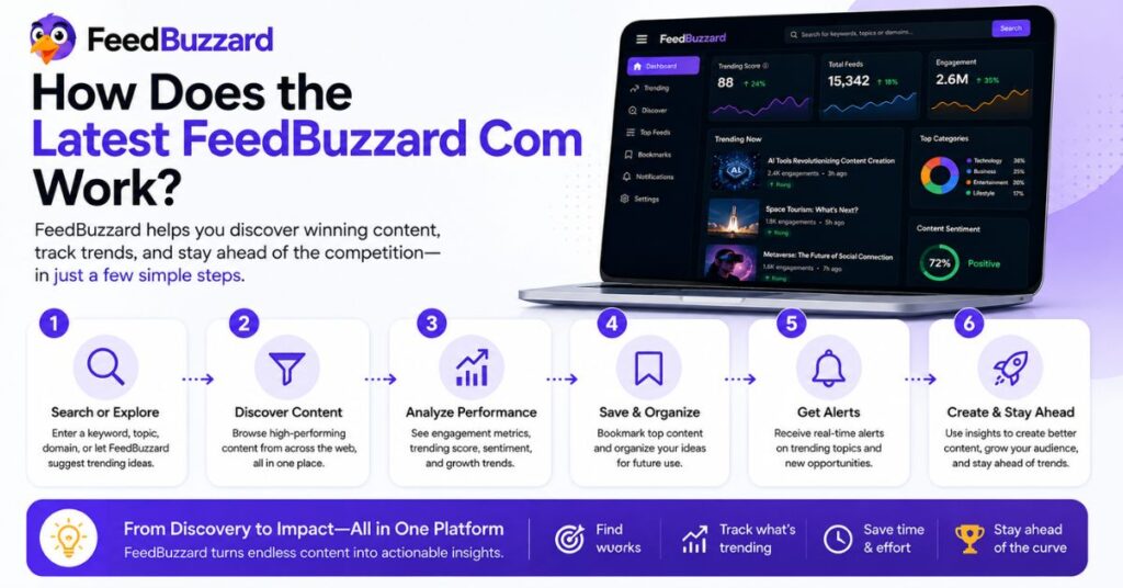 How Does the Latest FeedBuzzard Com Work?
